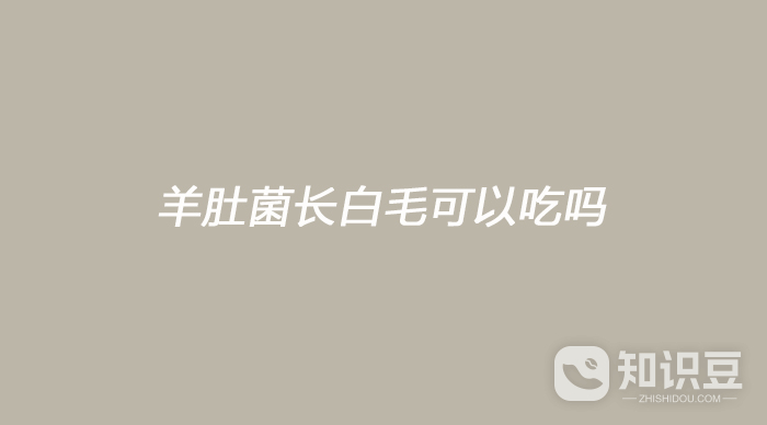 羊肚菌长白毛可以吃吗 羊肚菌长白毛能不能吃