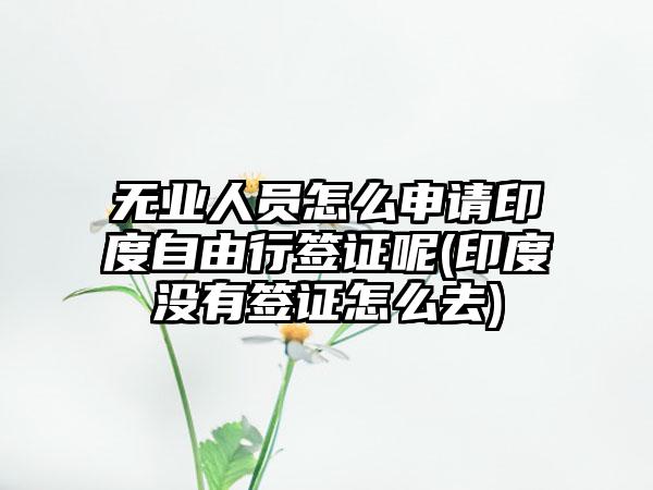 无业人员怎么申请印度自由行签证呢(印度没有签证怎么去)-第1张图片-海印网