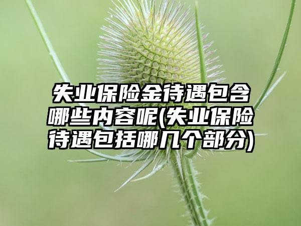 失业保险金待遇包含哪些内容呢(失业保险待遇包括哪几个部分)-第1张图片-海印网