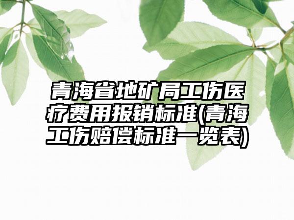 青海省地矿局工伤医疗费用报销标准(青海工伤赔偿标准一览表)-第1张图片-海印网