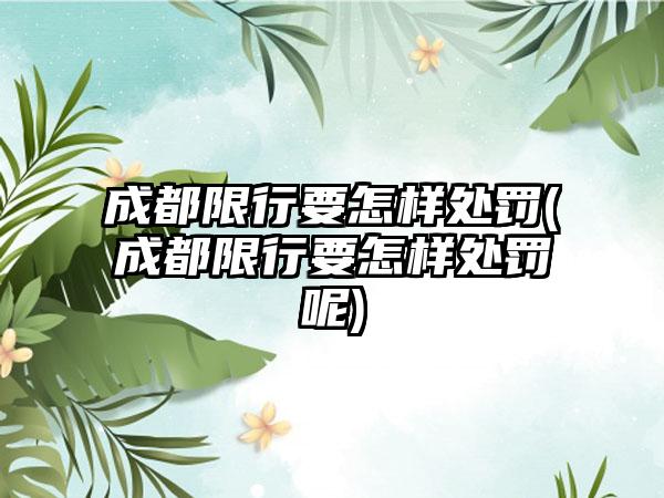 成都限行要怎样处罚(成都限行要怎样处罚呢)