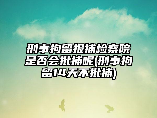 刑事拘留报捕检察院是否会批捕呢(刑事拘留14天不批捕)-第1张图片-海印网