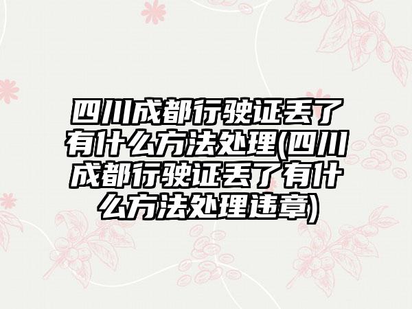 四川成都行驶证丢了有什么方法处理(四川成都行驶证丢了有什么方法处理违章)-第1张图片-海印网