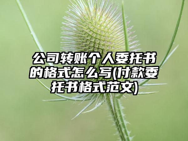 公司转账个人委托书的格式怎么写(付款委托书格式范文)-第1张图片-海印网