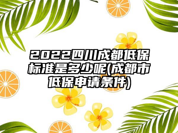 2022四川成都低保标准是多少呢(成都市低保申请条件)-第1张图片-海印网