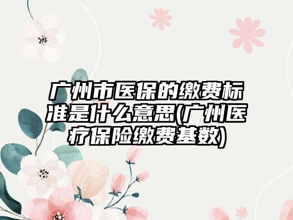 广州市医保的缴费标准是什么意思(广州医疗保险缴费基数)-第1张图片-海印网