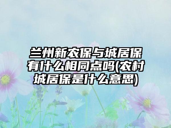 兰州新农保与城居保有什么相同点吗(农村城居保是什么意思)