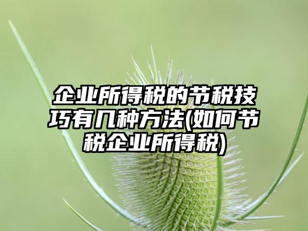 企业所得税的节税技巧有几种方法(如何节税企业所得税)