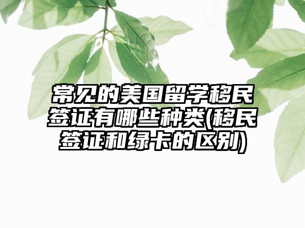 常见的美国留学移民签证有哪些种类(移民签证和绿卡的区别)