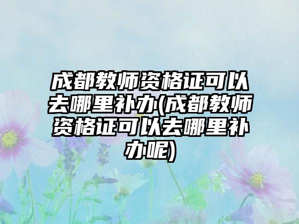 成都教师资格证可以去哪里补办(成都教师资格证可以去哪里补办呢)-第1张图片-海印网