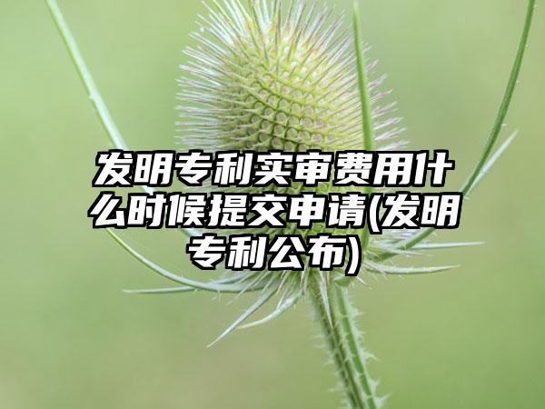 发明专利实审费用什么时候提交申请(发明专利公布)-第1张图片-海印网