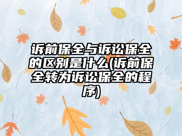 诉前保全与诉讼保全的区别是什么(诉前保全转为诉讼保全的程序)-第1张图片-海印网