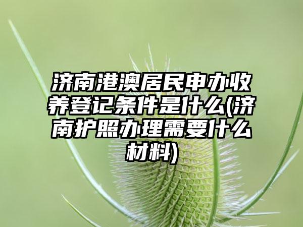 济南港澳居民申办收养登记条件是什么(济南护照办理需要什么材料)-第1张图片-海印网