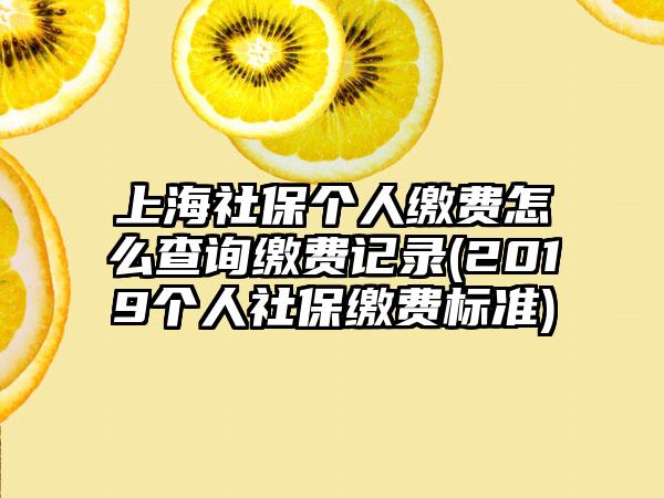 上海社保个人缴费怎么查询缴费记录(2019个人社保缴费标准)