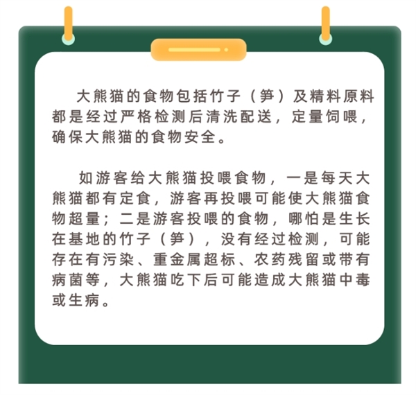 两人被终身禁入成都熊猫基地：假期参观时擅自投喂苹果-第2张图片-海印网