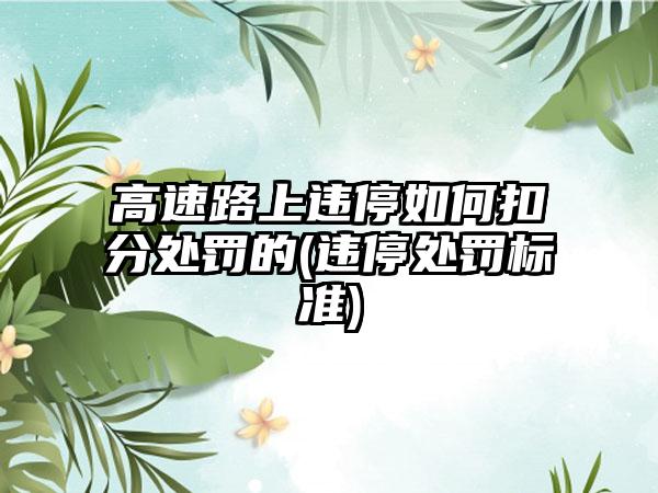 高速路上违停如何扣分处罚的(违停处罚标准)