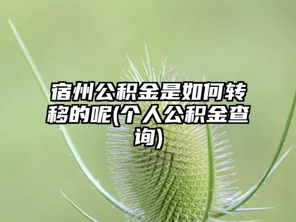 宿州公积金是如何转移的呢(个人公积金查询)