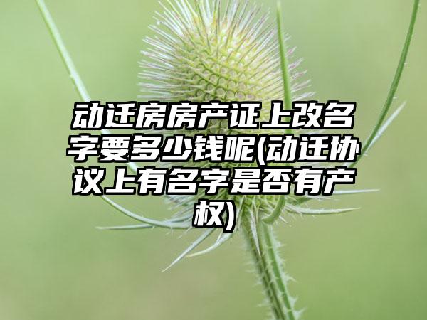 动迁房房产证上改名字要多少钱呢(动迁协议上有名字是否有产权)-第1张图片-海印网