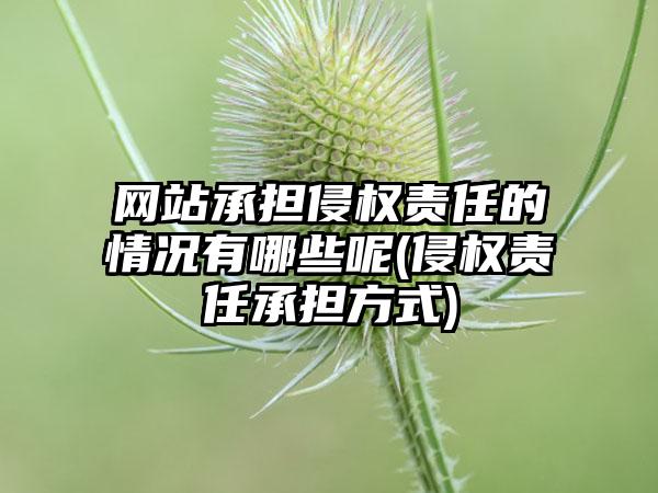 网站承担侵权责任的情况有哪些呢(侵权责任承担方式)