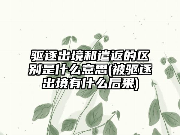 驱逐出境和遣返的区别是什么意思(被驱逐出境有什么后果)