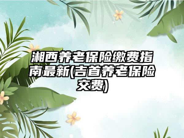 湘西养老保险缴费指南最新(吉首养老保险交费)