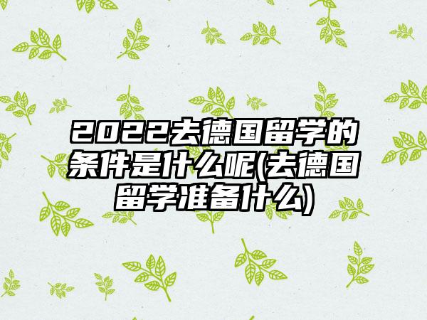 2022去德国留学的条件是什么呢(去德国留学准备什么)