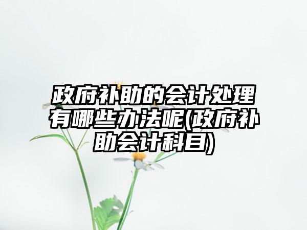 政府补助的会计处理有哪些办法呢(政府补助会计科目)-第1张图片-海印网