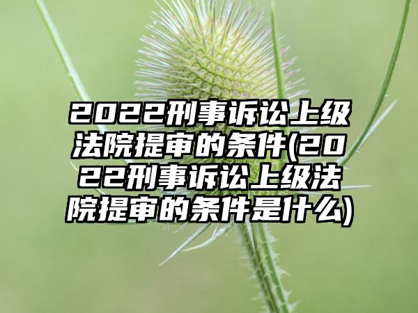 2022刑事诉讼上级法院提审的条件(2022刑事诉讼上级法院提审的条件是什么)