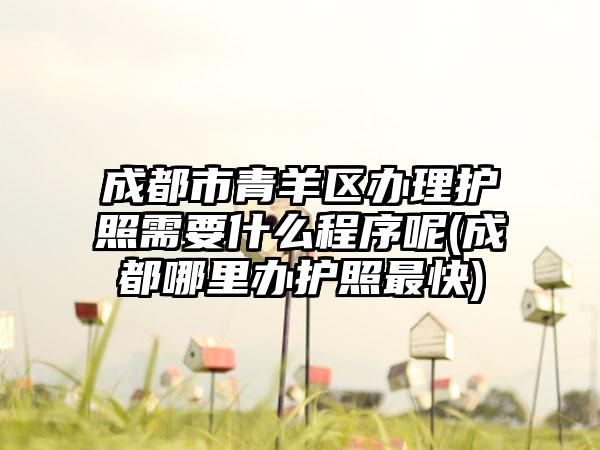 成都市青羊区办理护照需要什么程序呢(成都哪里办护照最快)