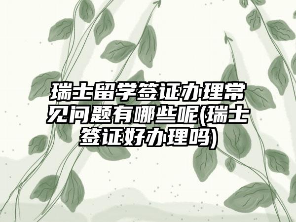 瑞士留学签证办理常见问题有哪些呢(瑞士签证好办理吗)