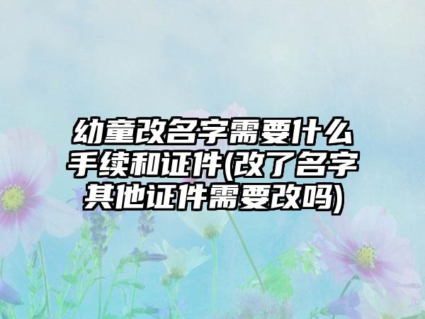 幼童改名字需要什么手续和证件(改了名字其他证件需要改吗)