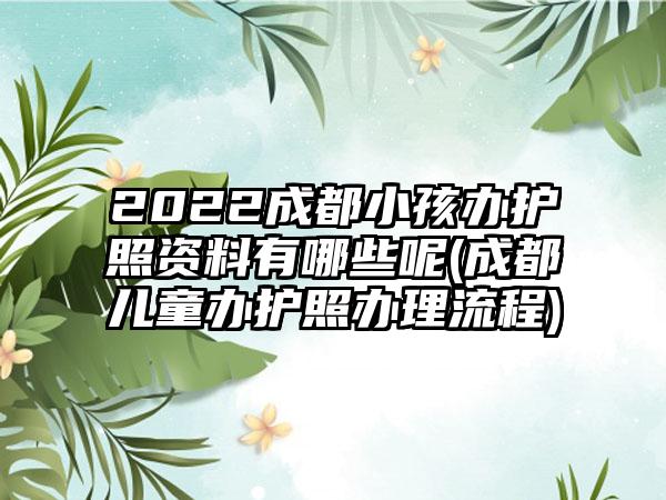 2022成都小孩办护照资料有哪些呢(成都儿童办护照办理流程)