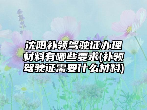 沈阳补领驾驶证办理材料有哪些要求(补领驾驶证需要什么材料)