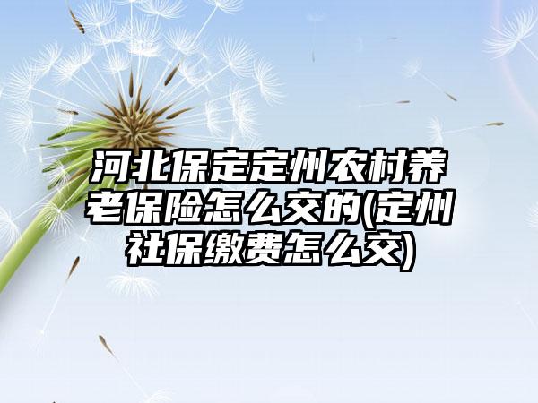 河北保定定州农村养老保险怎么交的(定州社保缴费怎么交)-第1张图片-海印网