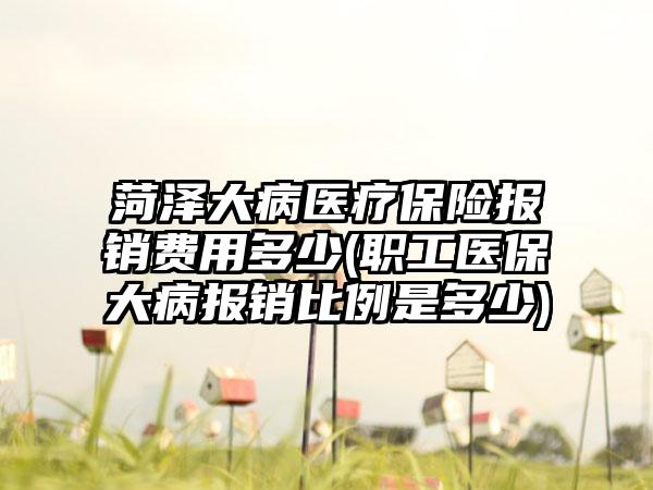 菏泽大病医疗保险报销费用多少(职工医保大病报销比例是多少)