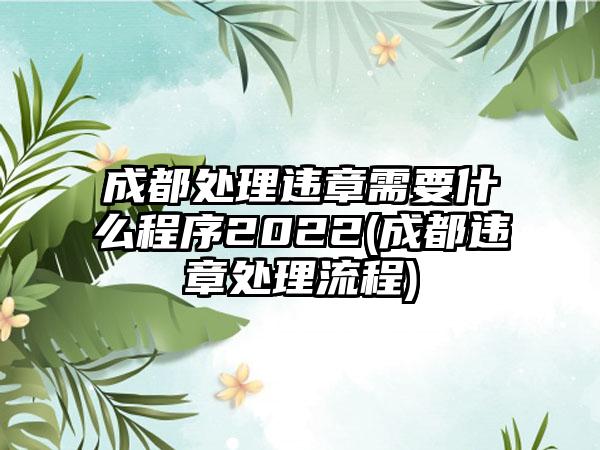 成都处理违章需要什么程序2022(成都违章处理流程)