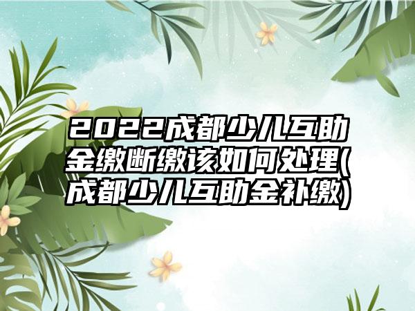 2022成都少儿互助金缴断缴该如何处理(成都少儿互助金补缴)