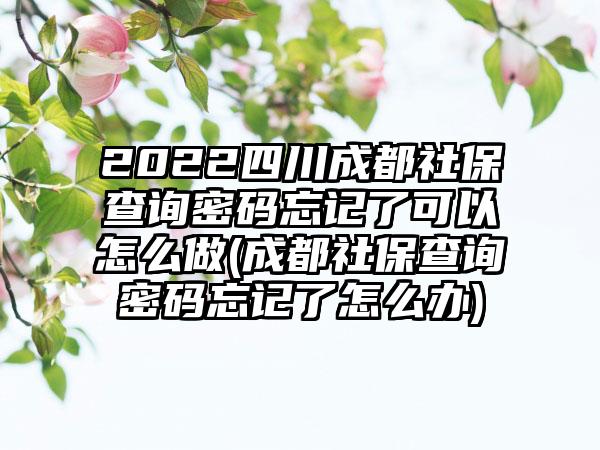 2022四川成都社保查询密码忘记了可以怎么做(成都社保查询密码忘记了怎么办)