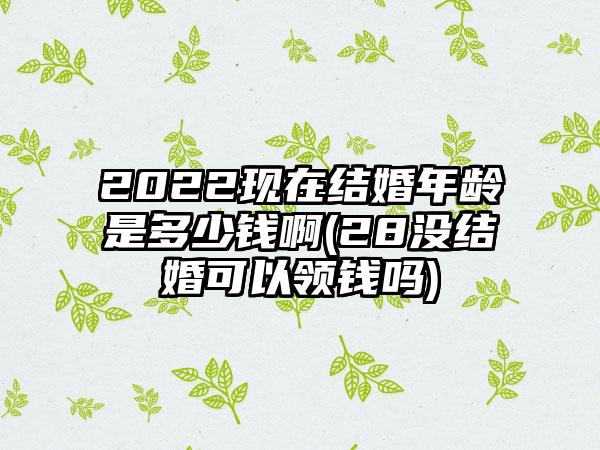 2022现在结婚年龄是多少钱啊(28没结婚可以领钱吗)