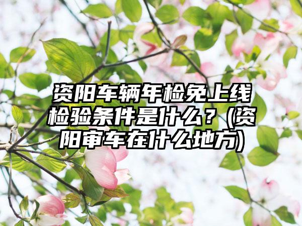 资阳车辆年检免上线检验条件是什么？(资阳审车在什么地方)