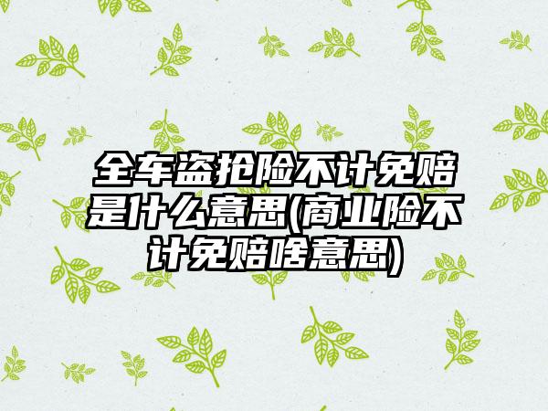 全车盗抢险不计免赔是什么意思(商业险不计免赔啥意思)-第1张图片-海印网