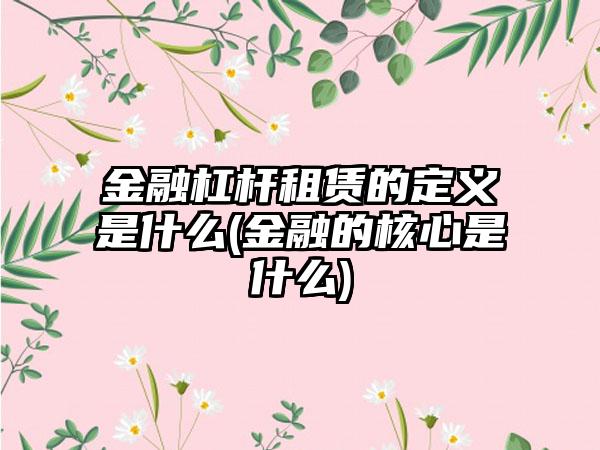 金融杠杆租赁的定义是什么(金融的核心是什么)-第1张图片-海印网