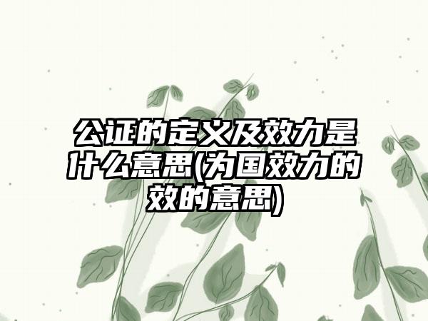 公证的定义及效力是什么意思(为国效力的效的意思)