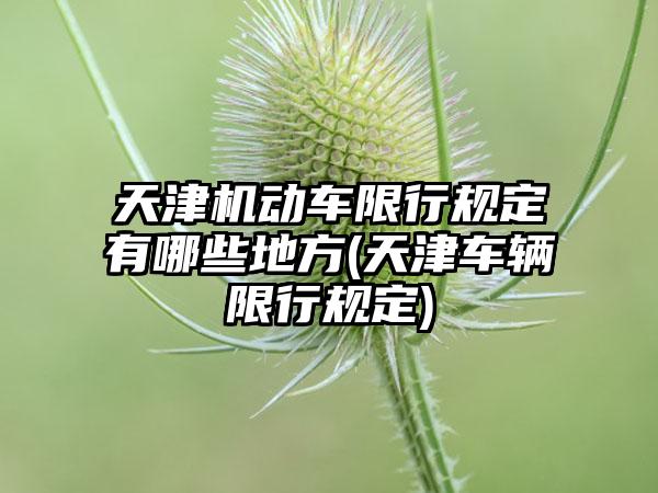 天津机动车限行规定有哪些地方(天津车辆限行规定)