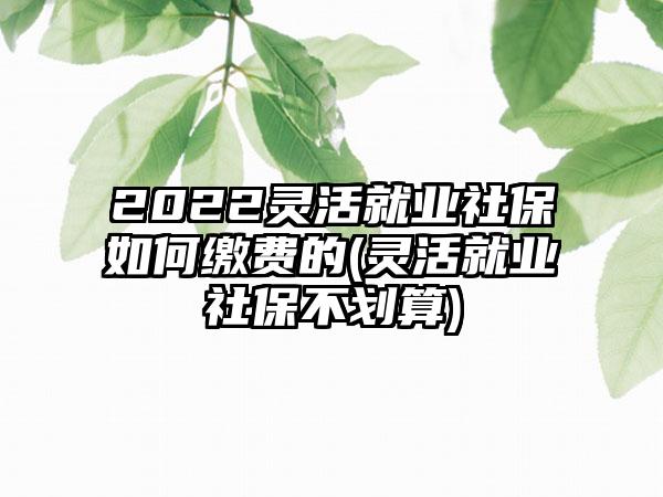 2022灵活就业社保如何缴费的(灵活就业社保不划算)