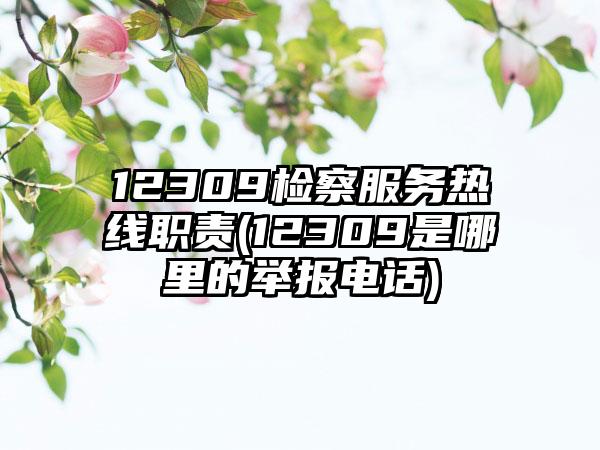 12309检察服务热线职责(12309是哪里的举报电话)