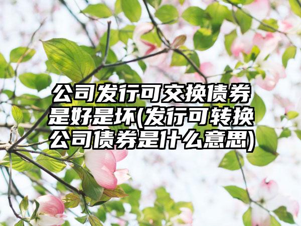 公司发行可交换债券是好是坏(发行可转换公司债券是什么意思)