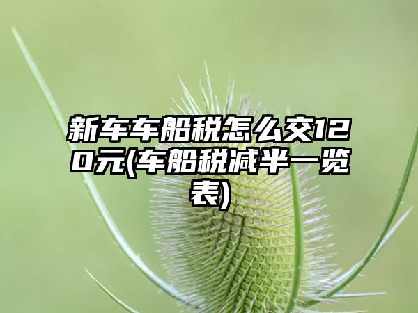 新车车船税怎么交120元(车船税减半一览表)-第1张图片-海印网