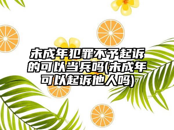 未成年犯罪不予起诉的可以当兵吗(未成年可以起诉他人吗)-第1张图片-海印网