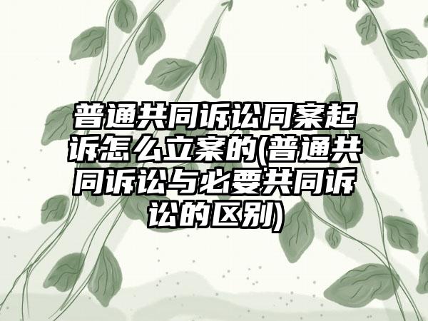 普通共同诉讼同案起诉怎么立案的(普通共同诉讼与必要共同诉讼的区别)-第1张图片-海印网